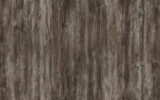 Дуб Клондайк_Oak Klondike 0426 Дуб Морас_Oak Moras 0484