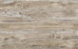 Дуб Клондайк_Oak Klondike 0426 Дуб Морас_Oak Moras 0484