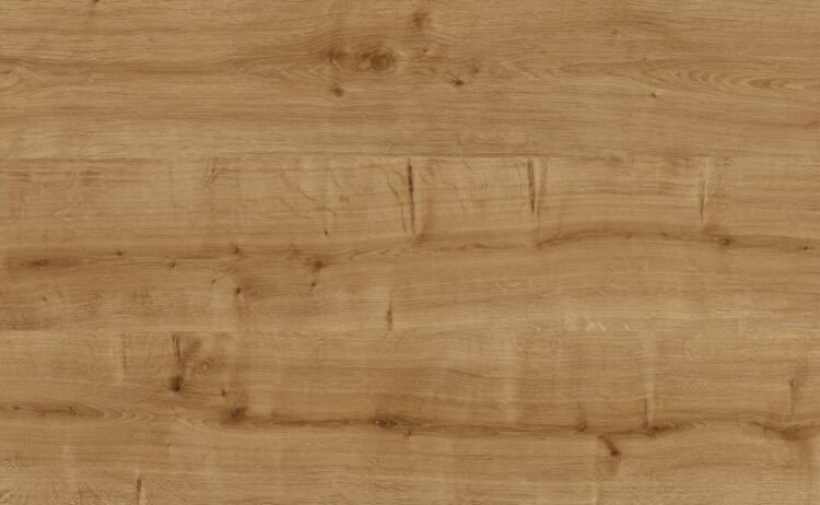 Дуб Ліванський Oak Lebanese 0355
