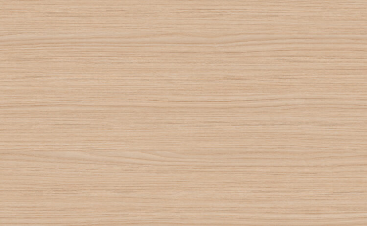 Дуб-Сальвадор-Oak-Salvador-0578